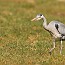 thumbs/IMG_4028.jpg